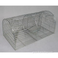 Small Animal Trap Cage Heavy Duty Live Multi Catch Rat Trap Cage Manufactory